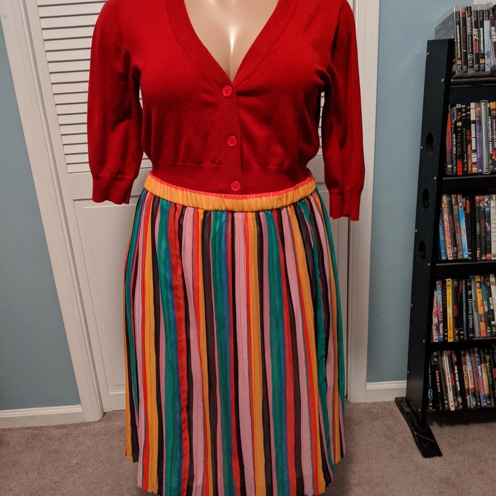 Multi colored skirt 2x